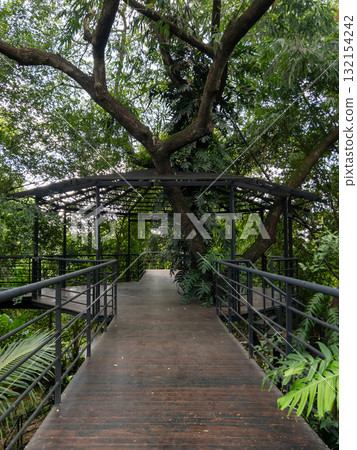 Metal House Frame on Big Tree in Botanical Garden. 132154242