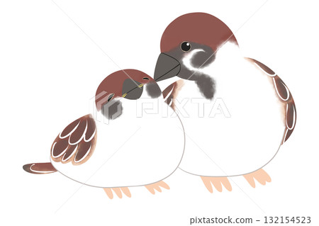 親子鳥:麻雀 親子鳥:麻雀 132154523