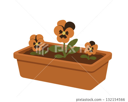 花盆裡種植的三色堇花的插圖，園藝 132154566