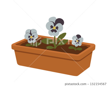 Illustration of pansy flowers planted in a flowerpot, gardening Illustration of pansy flowers planted in a flowerpot, gardening 132154567