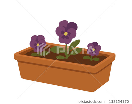 花盆裡種植的三色堇花的插圖，園藝 132154570