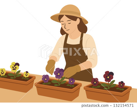 Illustration of pansy flowers planted in a flowerpot, gardening 132154571