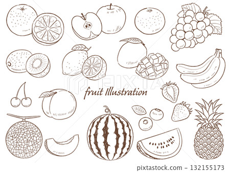 手繪水果線描集_向量插圖 132155173