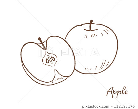 Apple hand drawn vector illustration 132155176