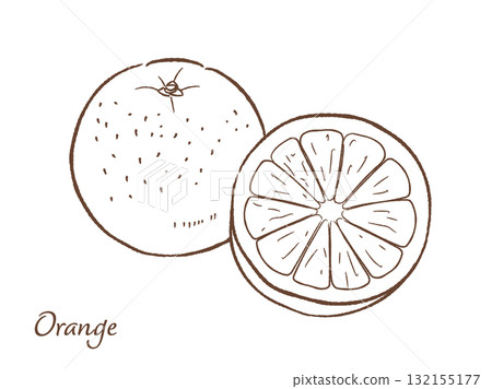 Orange hand drawn vector illustration 132155177