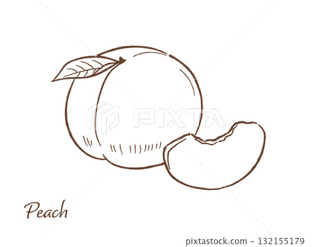 桃子的手工繪製的矢量圖 132155179