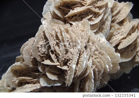 膏藥 膏藥 132155341