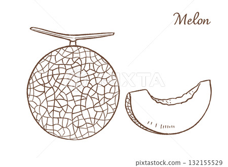 Hand drawn vector illustration of melon Hand drawn vector illustration of melon 132155529
