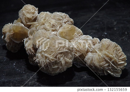 Desert Rose 132155659