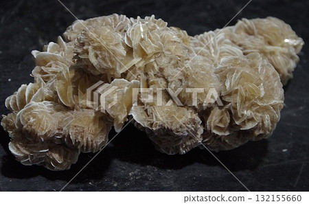 Desert Rose Desert Rose 132155660