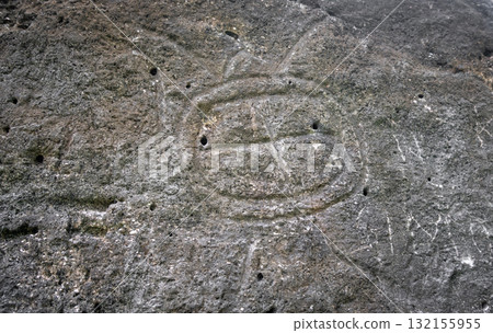 Ancient turtle petroglyph at Marae Manunu on Huahine island, French Polynesia 132155955