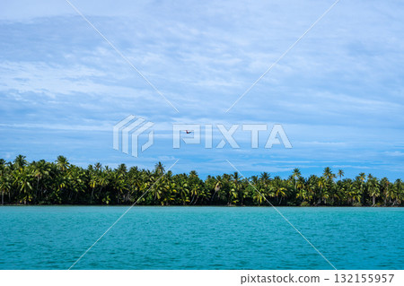 Plane Takeoff Above Coconut Trees on Maupiti Island, French Polynesia Plane Takeoff Above Coconut Trees on Maupiti Island, French Polynesia 132155957