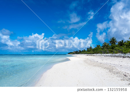 Idyllic white sand beach with coconut trees in Maupiti, French Polynesia 132155958