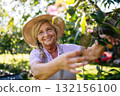 Gardener trimming plant outdoors with pruning shears. 132156100