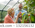 Mature son helping old mother in garden, working in greenhouse, 132156132