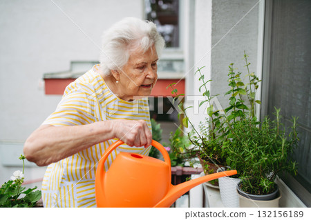 Elderly woman watering potted herbs on balcony. Elderly woman watering potted herbs on balcony. 132156189