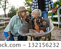 Grandmother playing with grandson in a wheelbarrow on a family farm. 132156232
