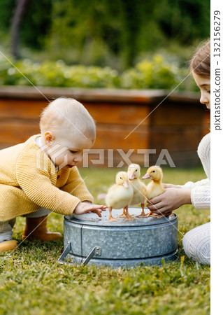 Older sister showing little ducklings to toddler girl. Older sister showing little ducklings to toddler girl. 132156279