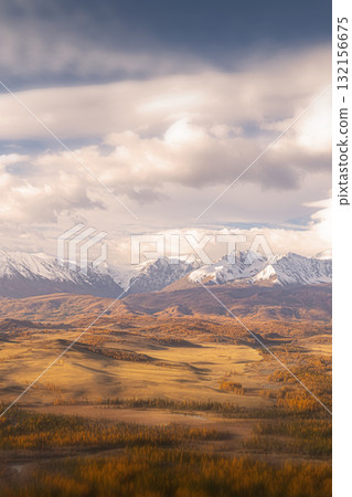 A breathtaking view of the Altai mountains during autumn, where golden foliage contrasts beautifully with the snow-capped peaks under a cloudy sky. 132156675