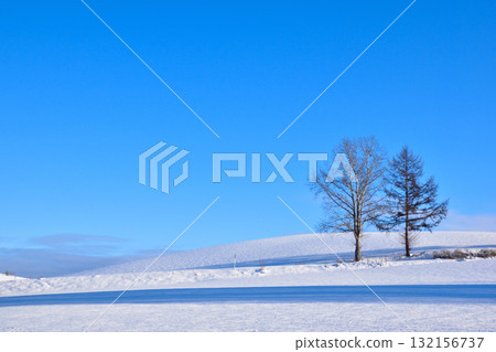 Winter Biei Town 132156737