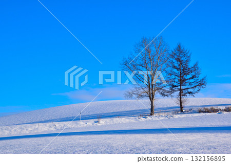 冬季美瑛町 132156895