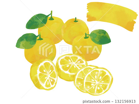 水彩風柚子插圖集1(含葉) 水彩風柚子插圖集1(含葉) 132156913