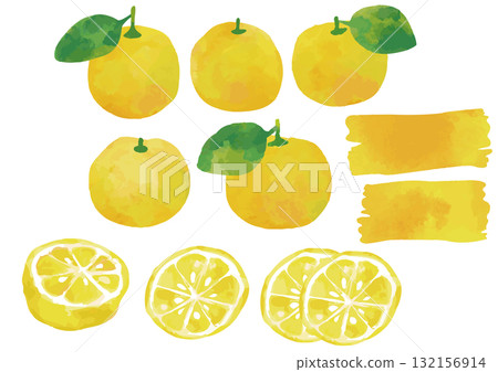 水彩風柚子插圖集2（含葉） 132156914