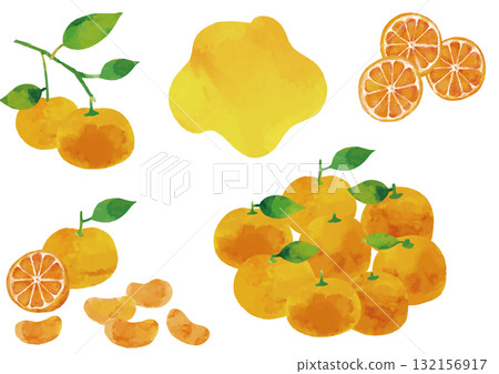Watercolor style Unshu mandarin orange illustration set (with leaves and branches) Watercolor style Unshu mandarin orange illustration set (with leaves and branches) 132156917