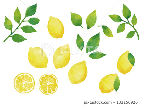 Watercolor lemon illustration set (with leaves) 132156920