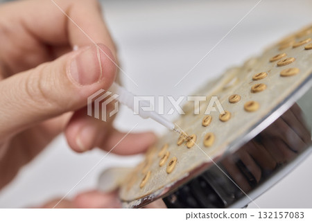 Cleaning a Showerhead Effectively to Enhance Water Flow, Hygiene, and Overall Performance Cleaning a Showerhead Effectively to Enhance Water Flow, Hygiene, and Overall Performance 132157083