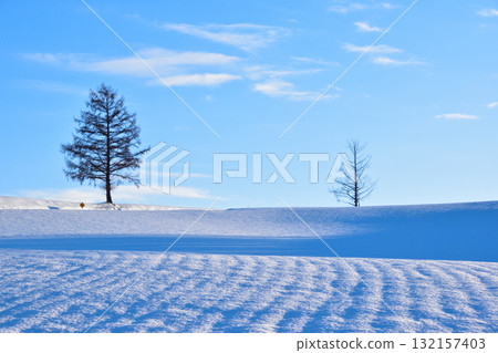 Winter Biei Town Winter Biei Town 132157403