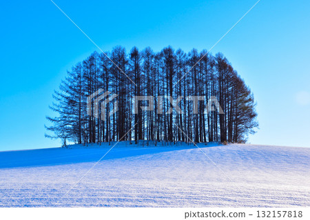 Winter Biei Mild Seven Hill 132157818