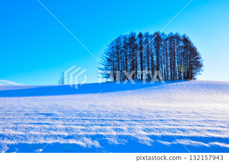 Winter Biei Mild Seven Hill 132157943