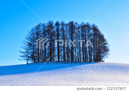 Winter Biei Mild Seven Hill 132157957