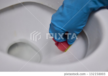 Cleaning the Toilet Essential Sanitation Practices for Maintaining a Healthy Home Environment Cleaning the Toilet Essential Sanitation Practices for Maintaining a Healthy Home Environment 132158003