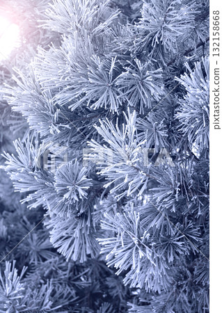 Vertical Christmas background with pine branch, covered with frost. Festive banner featuring a frosted fir branch. Holiday wintery banner with frozen branches of fir tree. Photo toned in blue color 132158668