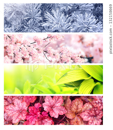 Set of horizontal nature banners. Four season of year. Each one features scene of nature, from the gentle snowfall of winter to the vibrant leaves of summer. Perfect for showcasing changing seasons 132158669