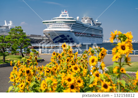 <神奈川縣>山下公園夏日向日葵 132158812