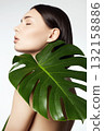 beautiful girl with palm leaves. Beautiful young naked woman 132158886