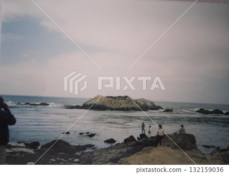 海豹出沒的蒙特利海灘 海豹出沒的蒙特利海灘 132159036