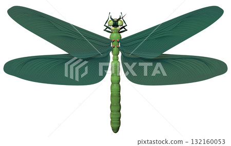 Meganeura Meganeura 132160053