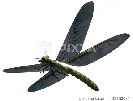 大脈 大脈 132160055