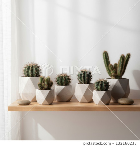 Collection of Green Cacti in Geometric Pots on Wooden Shelf 132160235