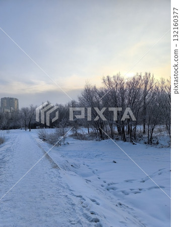 Winter Wonderland Snowy Path Through Trees at Sunset Leading to Urban Building Backdrop 132160377
