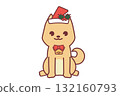 Illustration of a cute Shiba Inu wearing a Santa hat 132160793