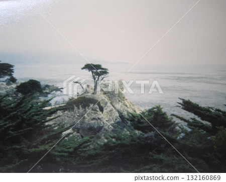 從 17 英里路（蒙特利海岸）看到的一棵孤獨的柏樹 132160869