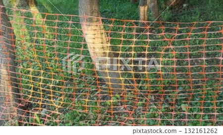 Protective Grid Fence Around Trees in a Green Field, Enhancing Safety and Visual Appeal. 65 Protective Grid Fence Around Trees in a Green Field, Enhancing Safety and Visual Appeal. 65 132161262