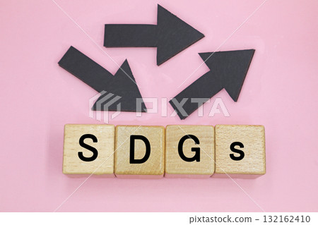 SDGs: Sustainable Society 132162410
