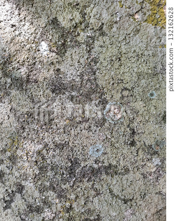 Moss and lichen texture on stone background 132162628