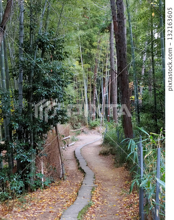 Walking the autumn forest path on the Kyoto Loop Trail 132163605